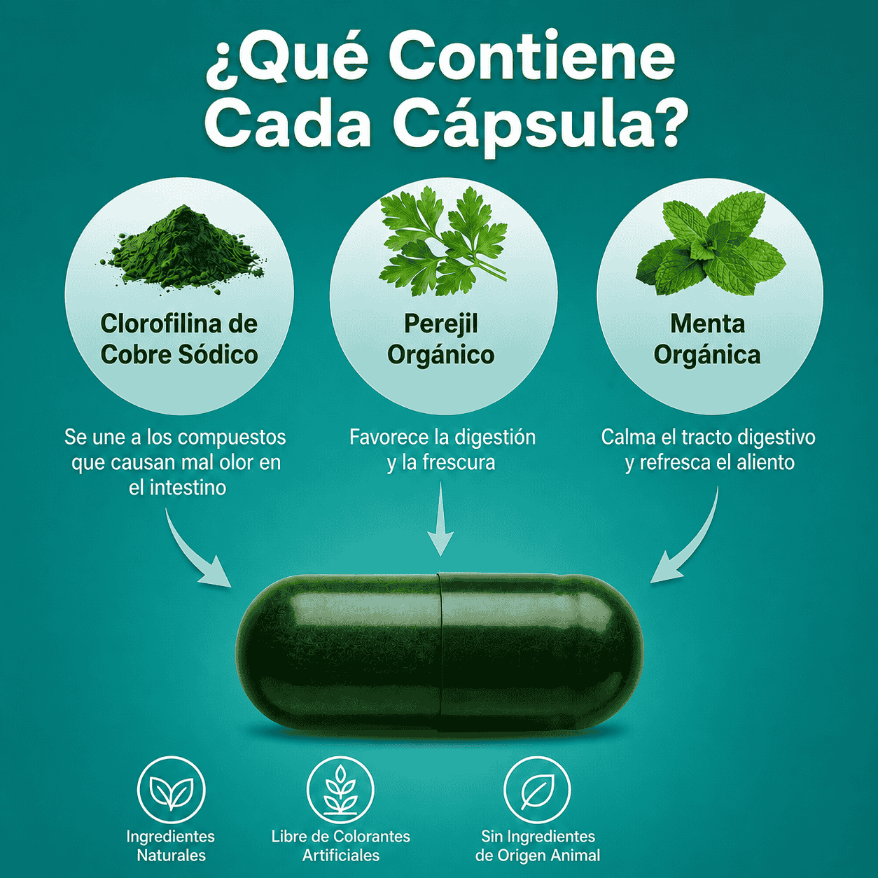 DEOS® - Recupera tu Confianza en 21 Días