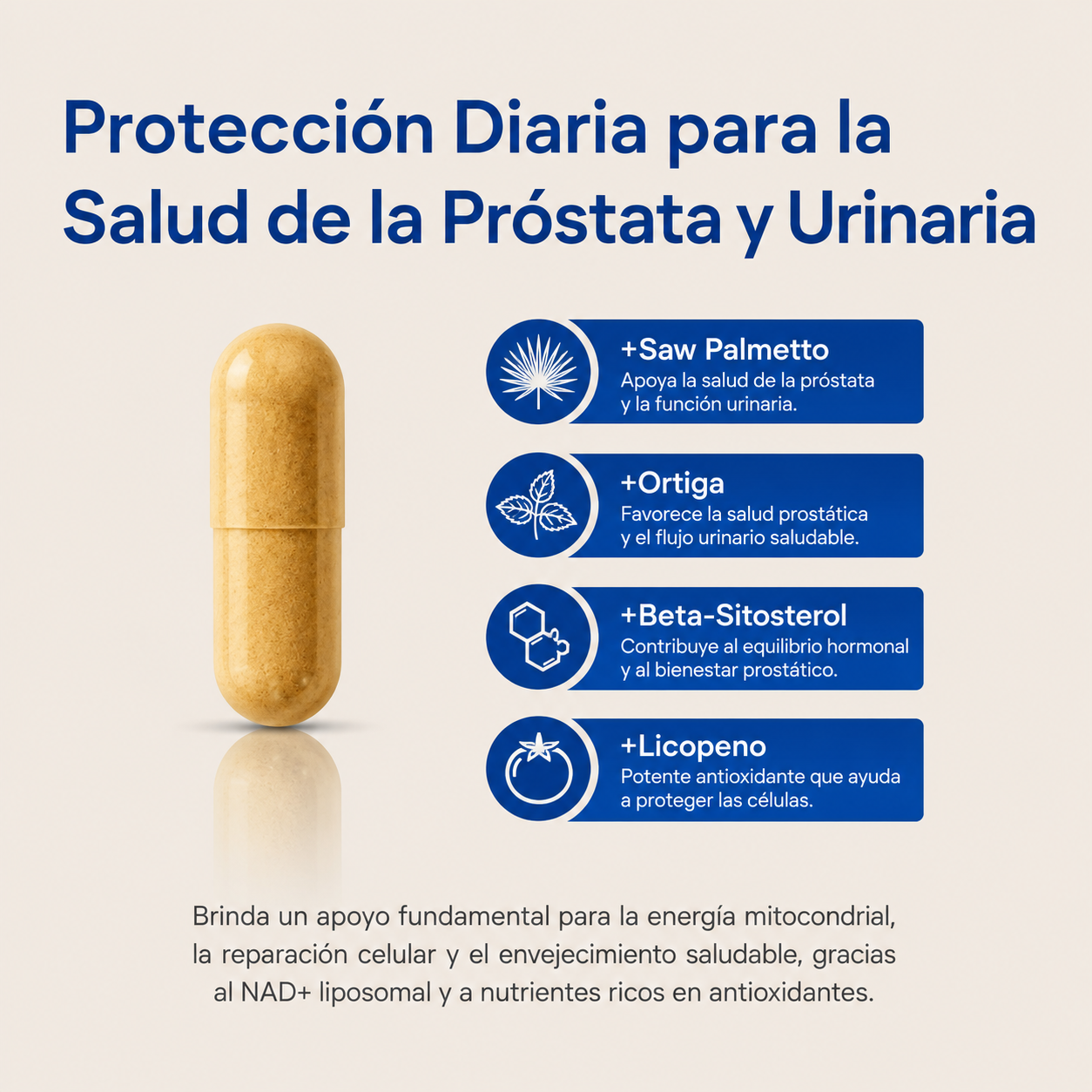 Selerb NAD+ │ Vuelve a sentirte fuerte, seguro y lleno de energía.